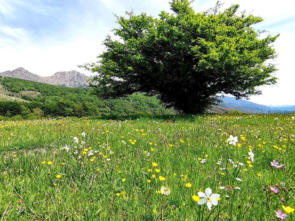 Siti UNESCO in Italia Riserva Biosfera