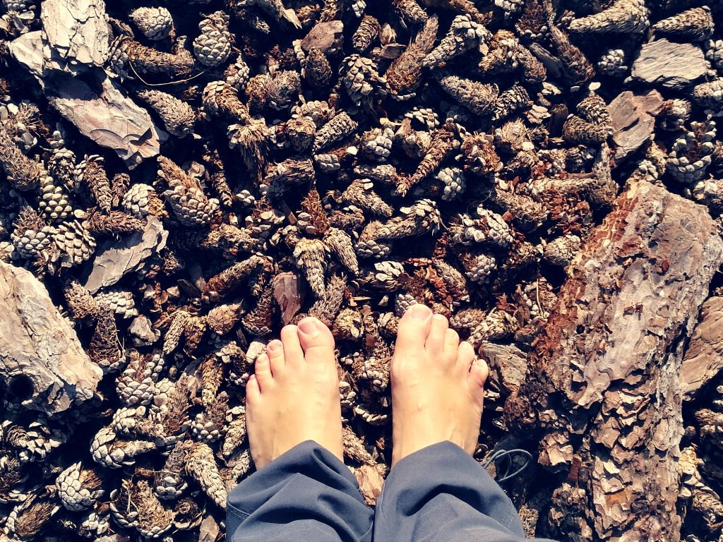 viaggi di istruzione educazione ambientale paesaggio