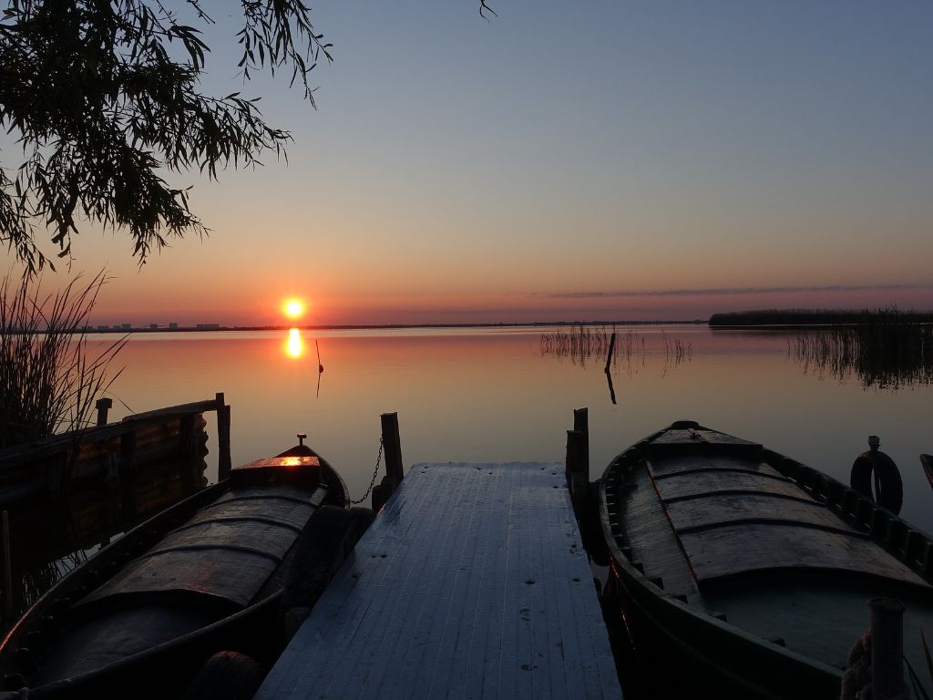 parco albufera valencia