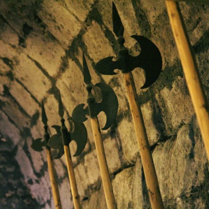 Gita tra i Castelli della  Valle d'Aosta