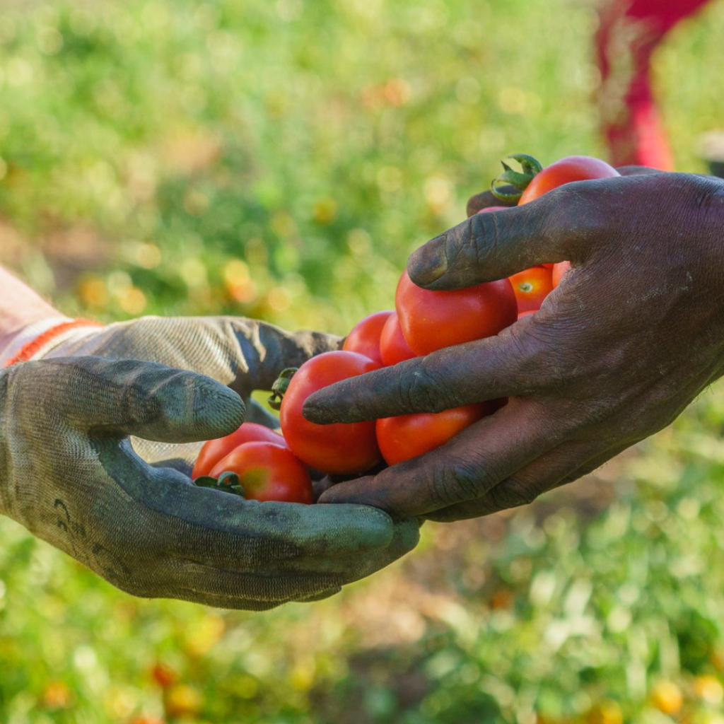 Copia di Copia di POST IG (16)