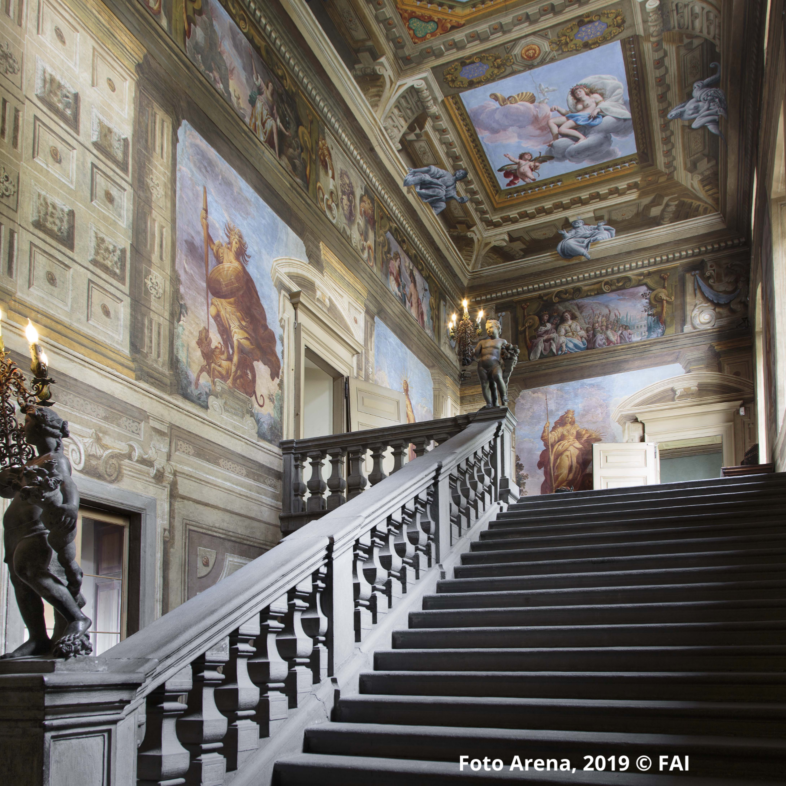 Foto Arena, 2019 © FAI