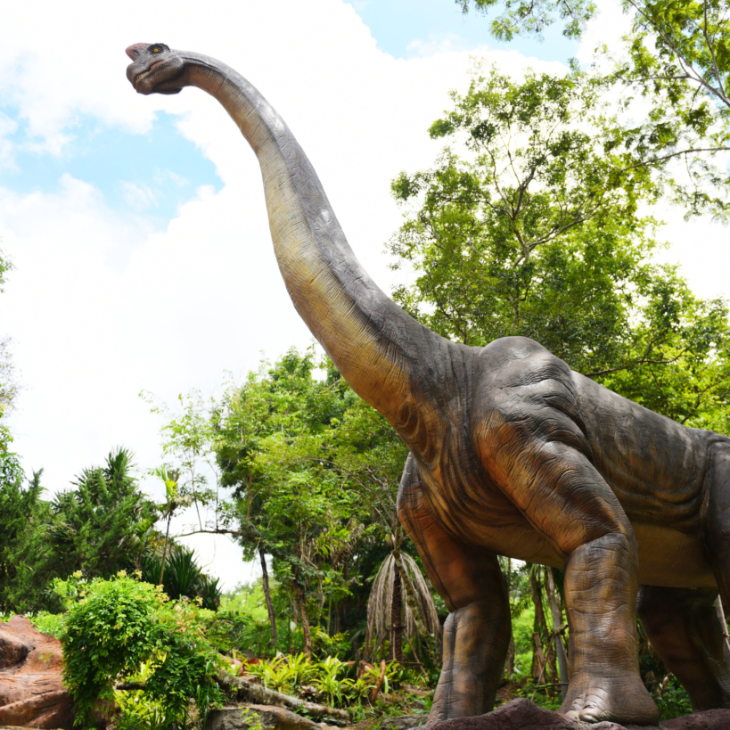 gita al Parco della Preistoria