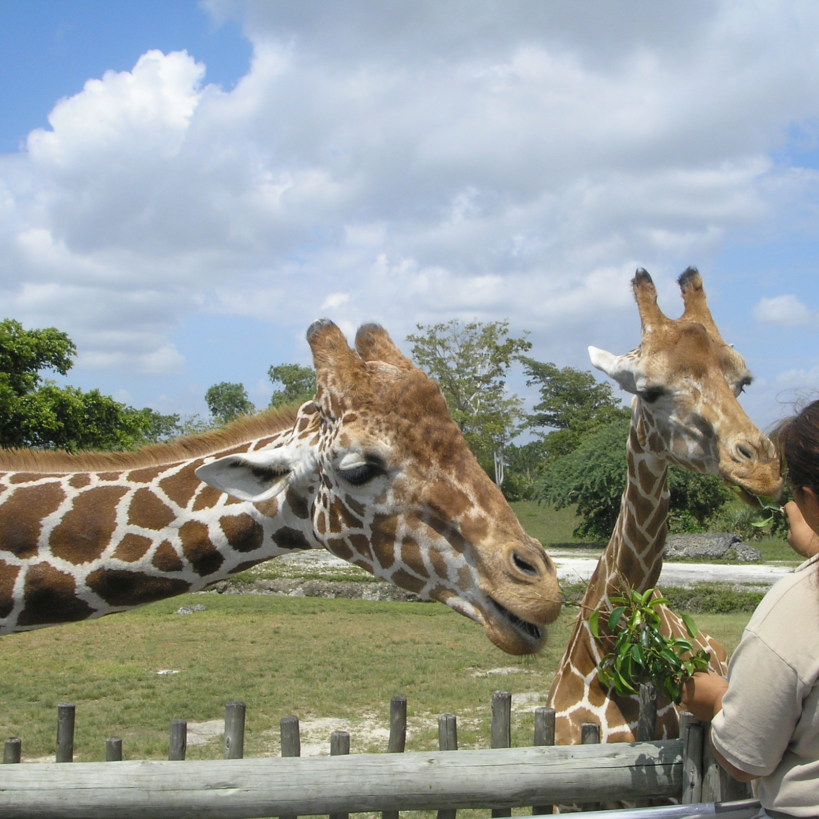 gita al Parco delle Cornelle