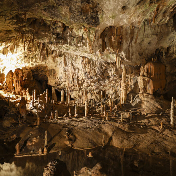 viaggio di istruzione in Friuli e Slovenia