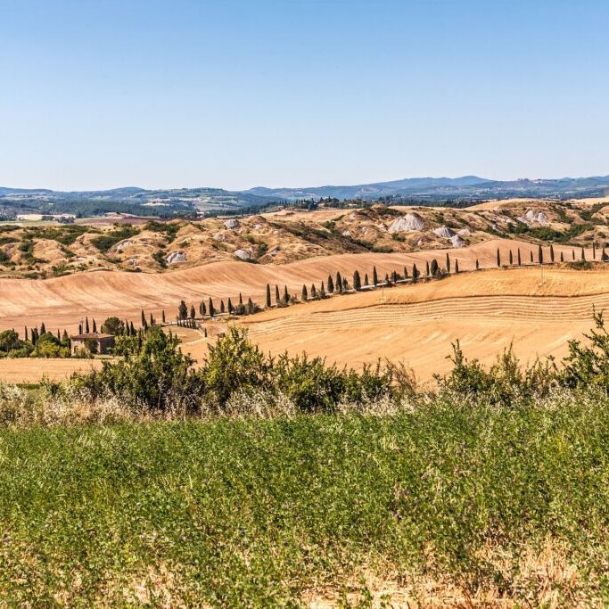 le crete senesi