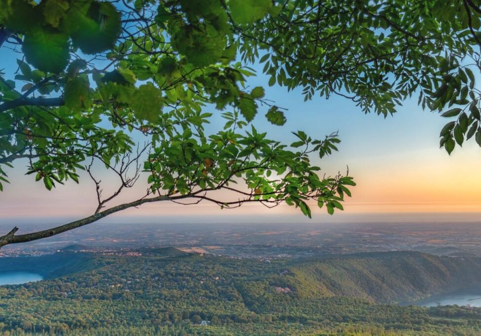 cosa vedere nel lazio castelli romani nemi